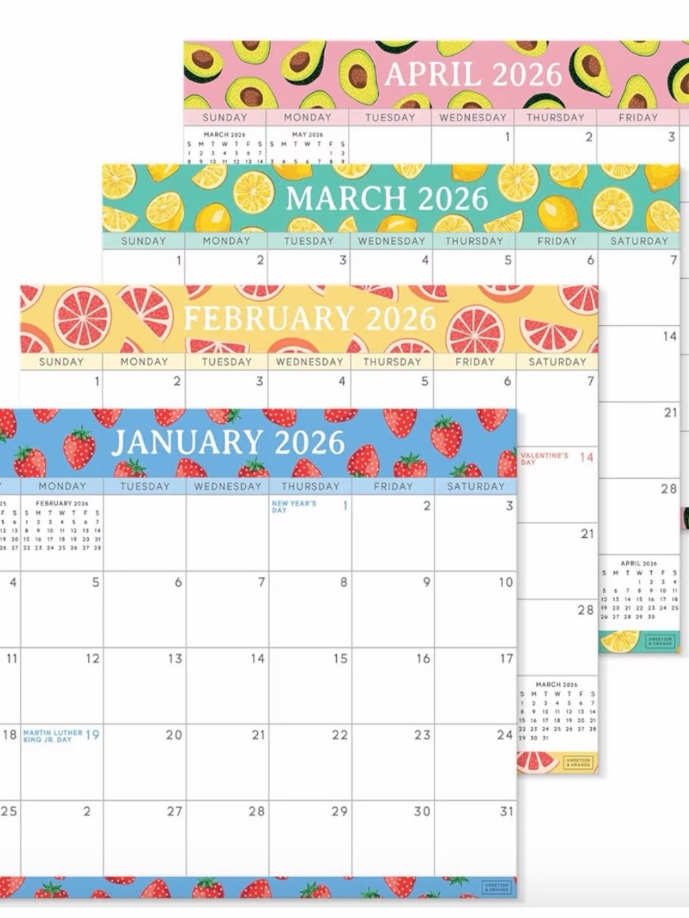 NWT S&O Fruit-Themed Wall Calendar - Jan 2026 — Jun 2027